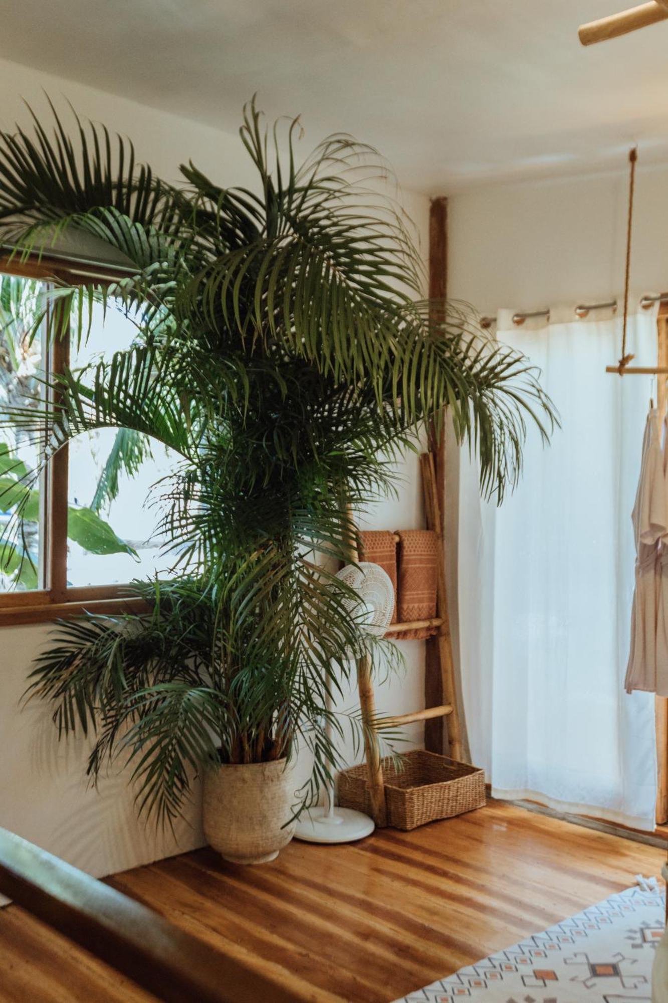 Mango Tango Villas Siargao General Luna  Eksteriør bilde
